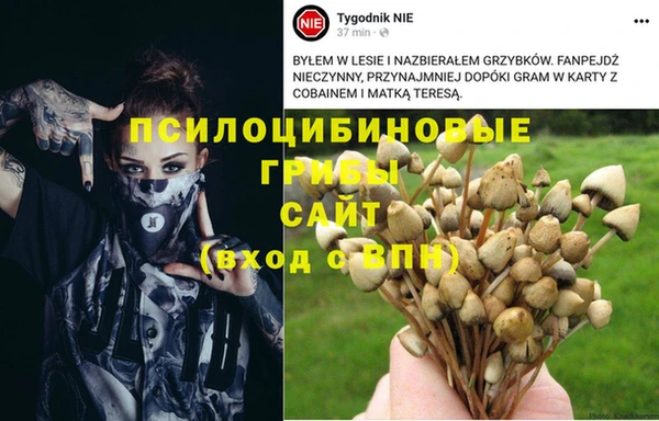 спиды Армянск